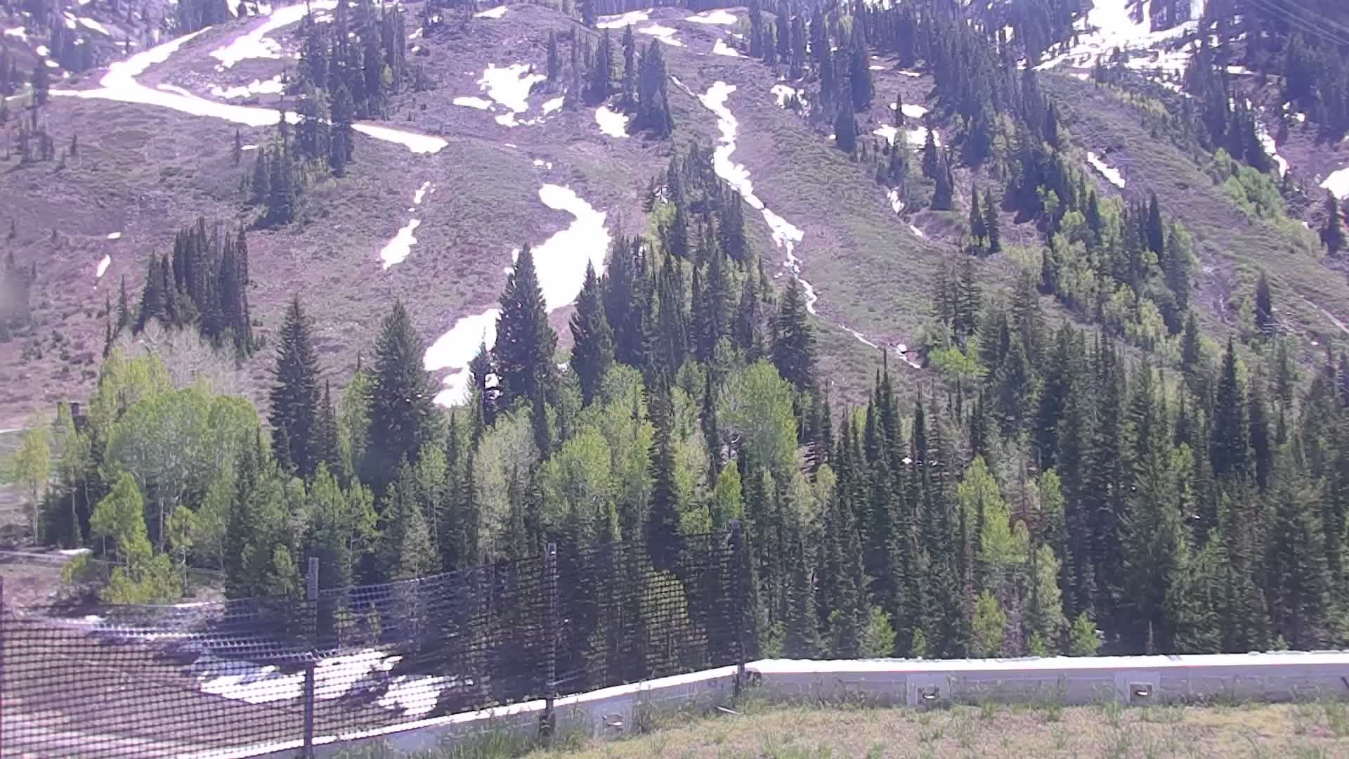 Peruvian Gulch Webcam