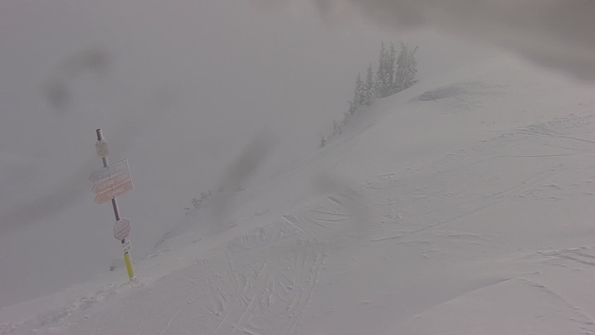 Snowbird Mineral Basin Summit live webcam