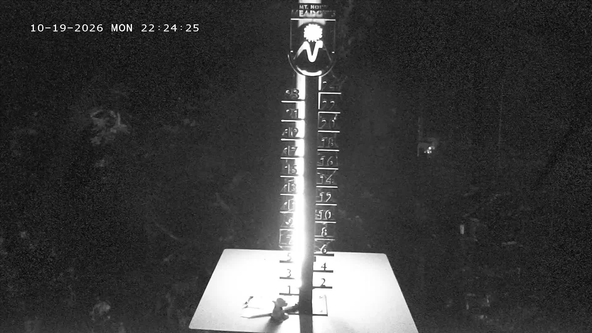 Snowstake webcam at Mt. Hood Meadows