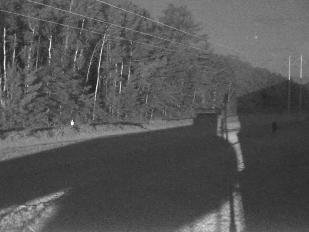 Trail Cam