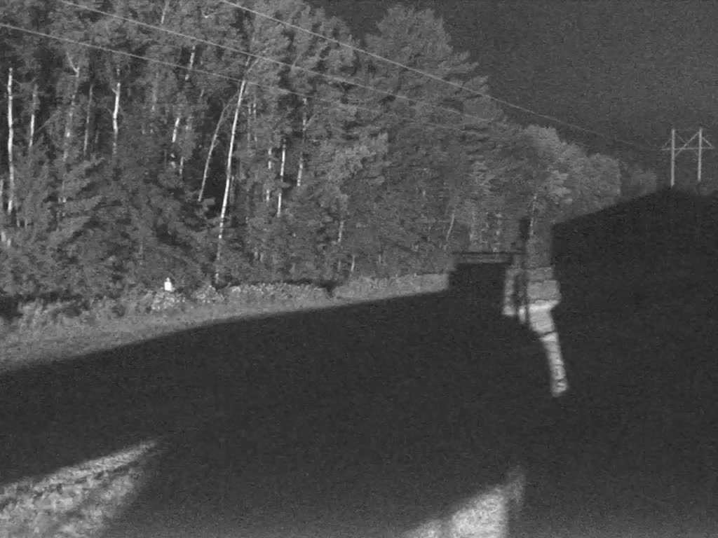 Trail Cam