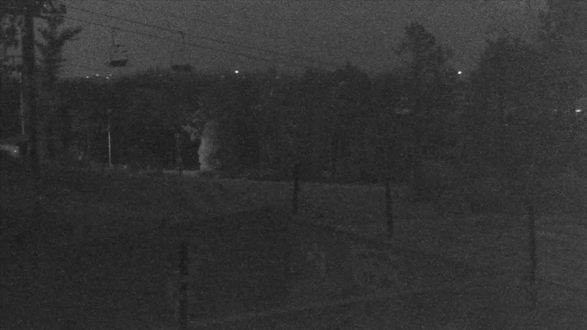 Snow Cam 2