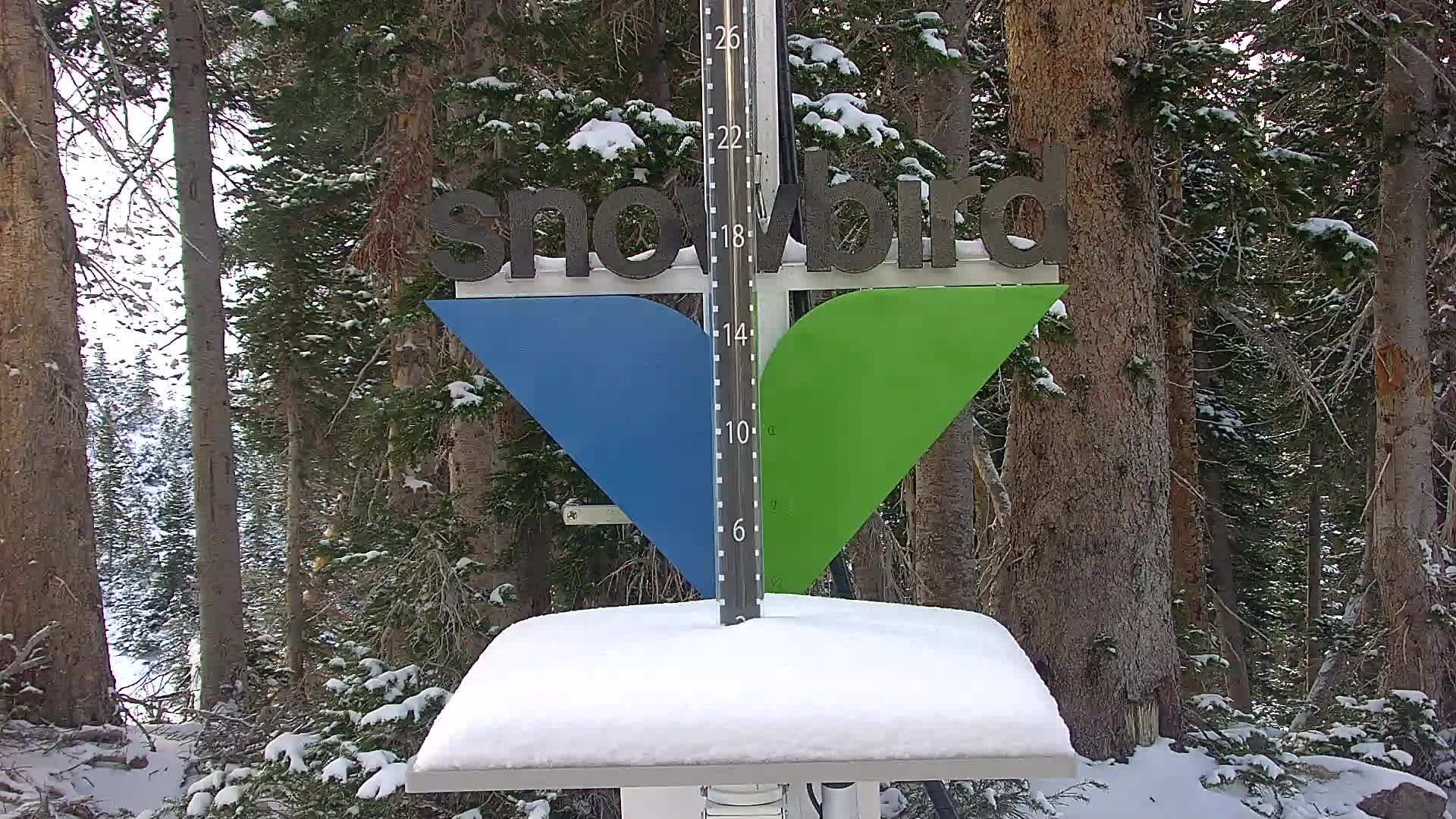 Snowstake Webcam