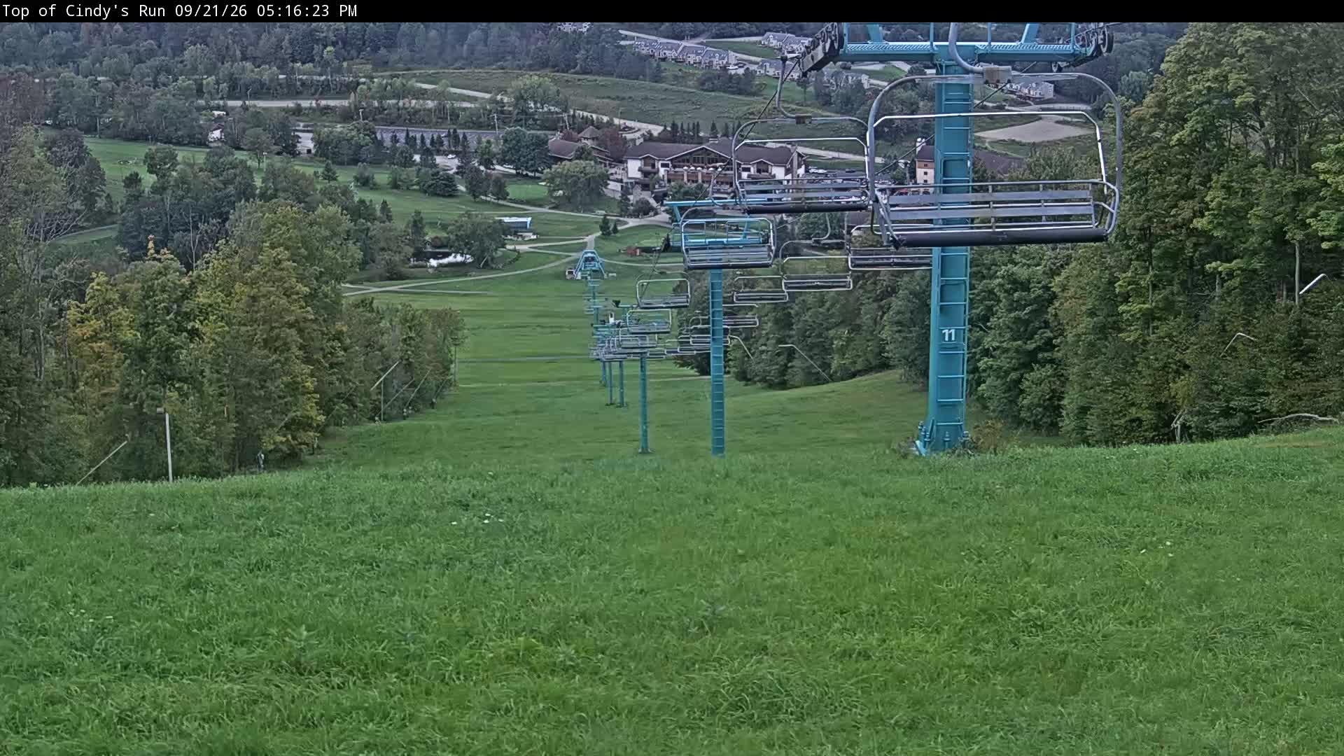 Top of Cindy's