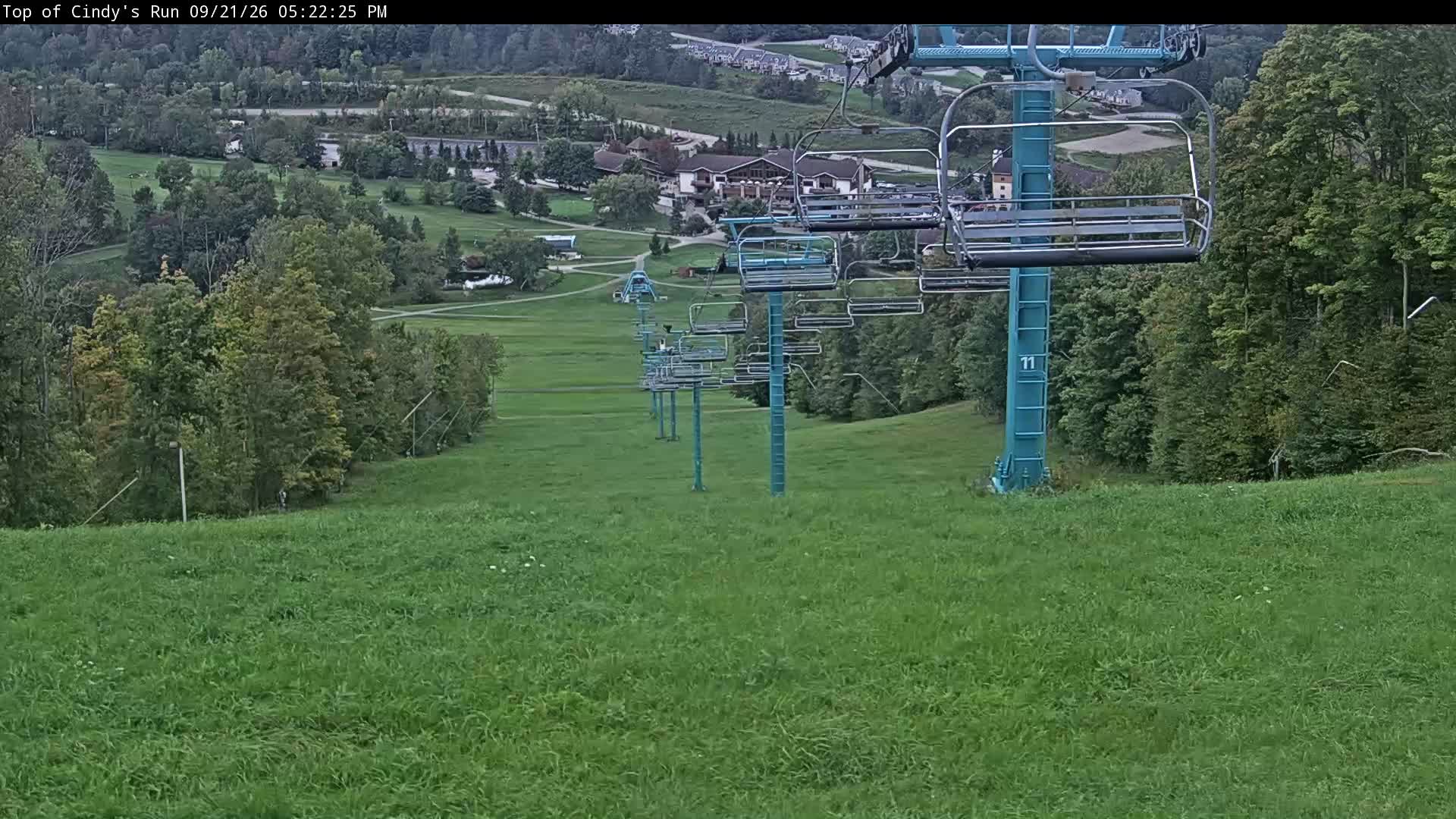 Top of Cindy's