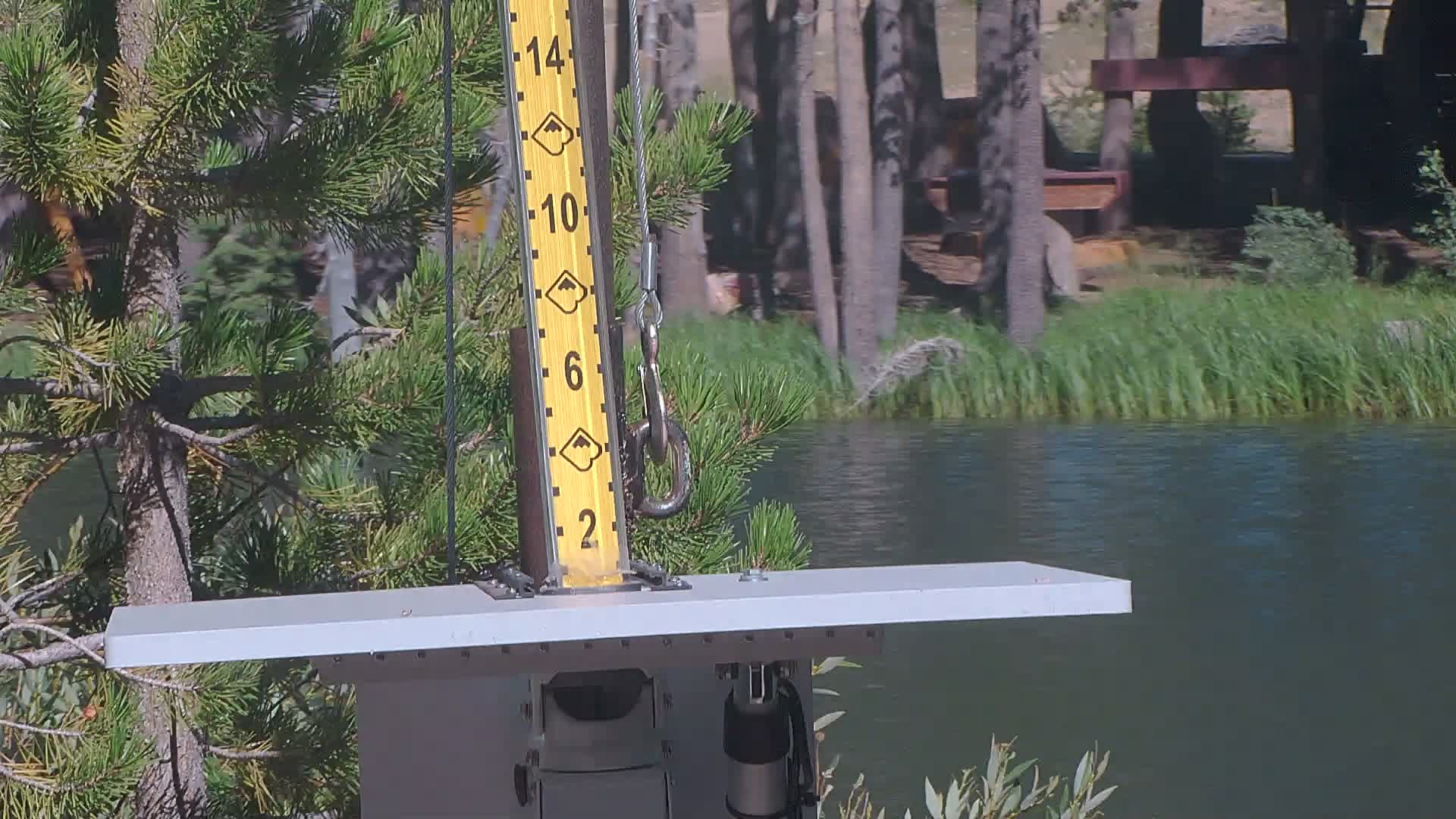 Snowstake Cam